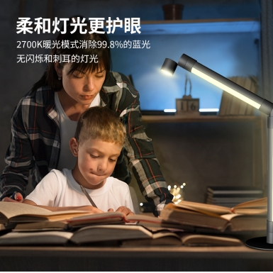 LED室内灯 - HCP204  阅读氛围落地灯